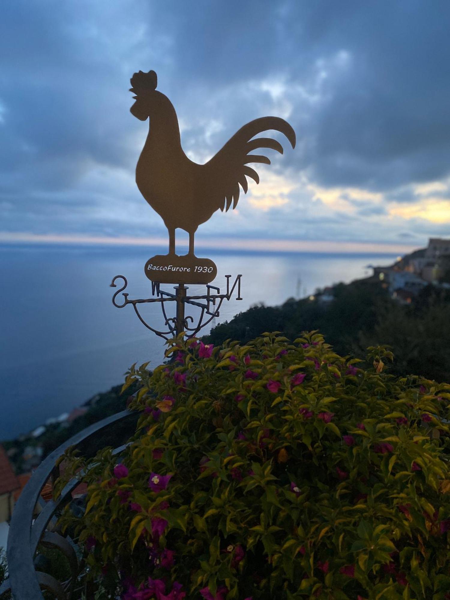 Albergo Dipinto Baccofurore Bagian luar foto